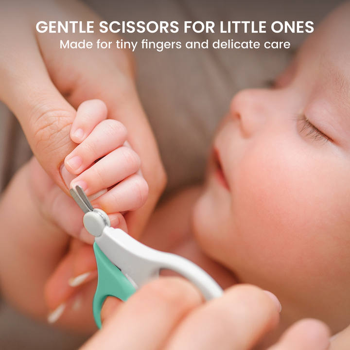 Compact grooming kit