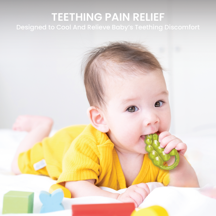 Water teethers Fruit