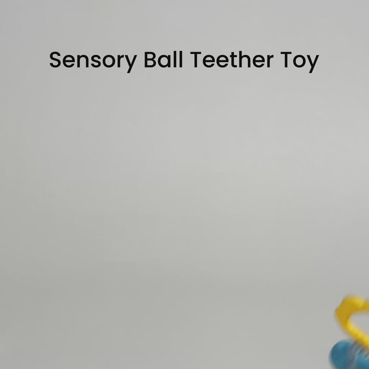Teether Ball Toy