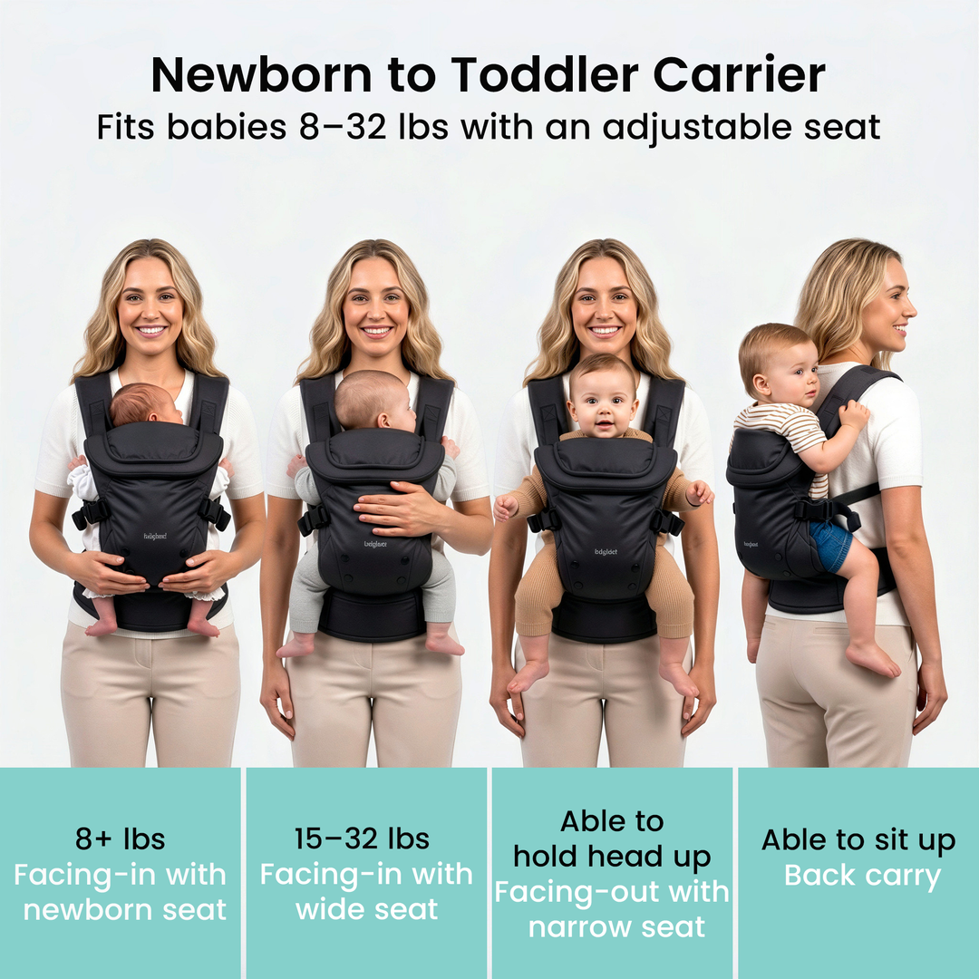 Baby Travel Carrier