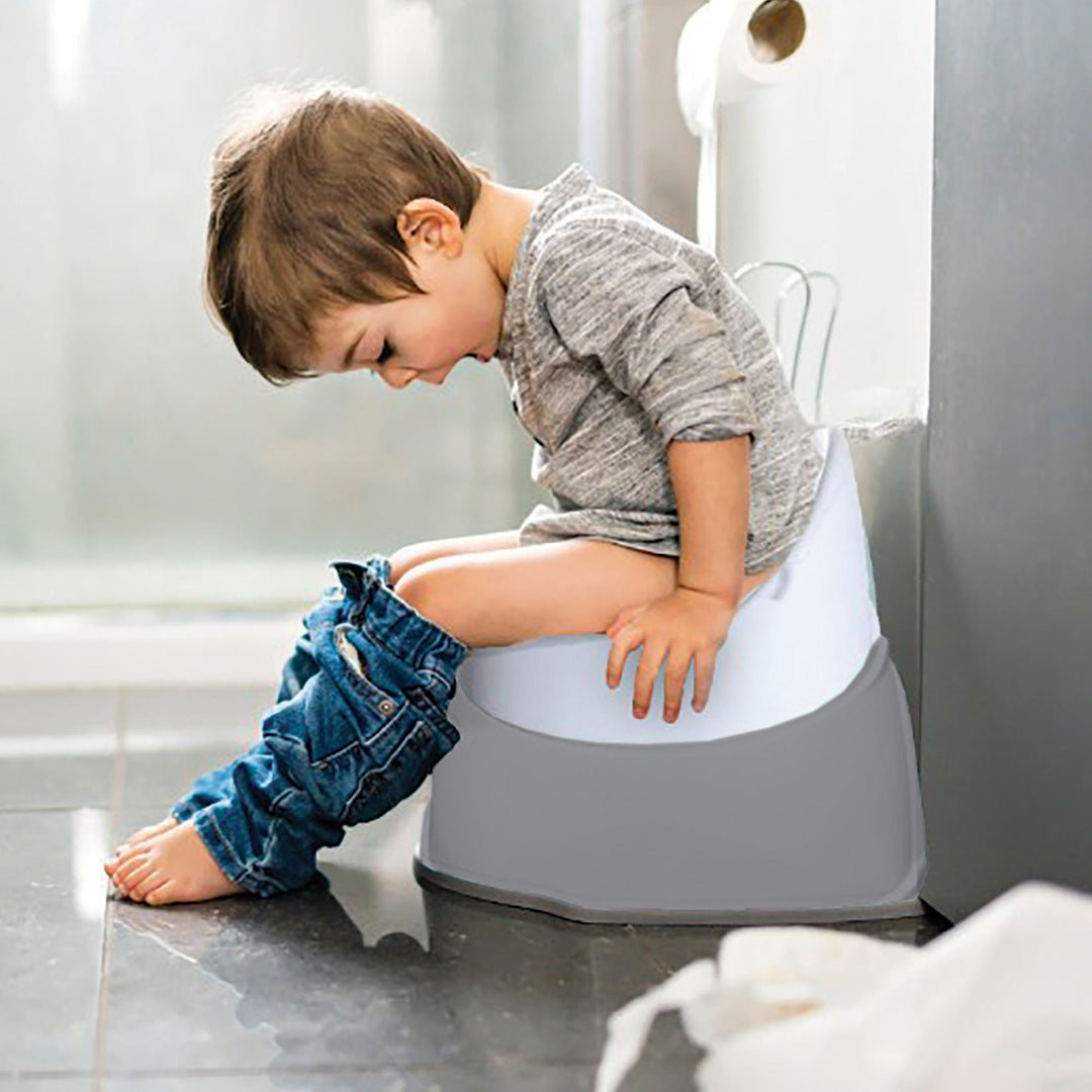 Potty Trainer Seat