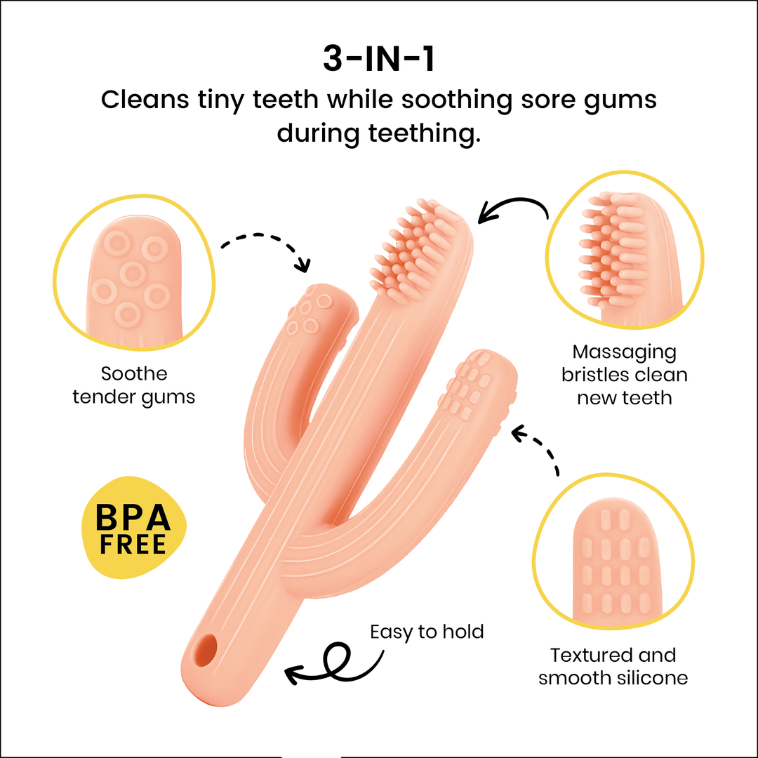 Infant Silicone Training Toothbrush Teether