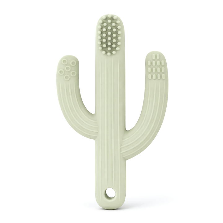 Infant Silicone Training Toothbrush Teether