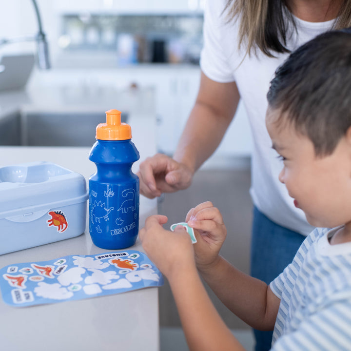 Lunchbox and Bottle Set with Stickers