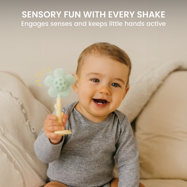 Teether rattle single