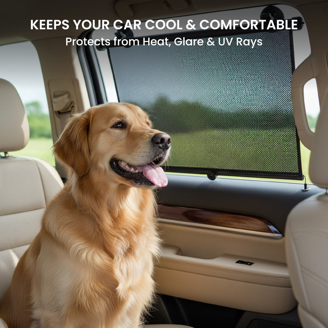 Roll Sun Shade protection- 2 Pack