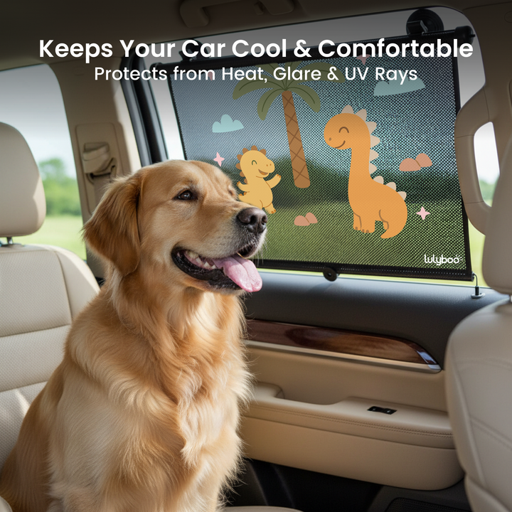 Roll Sun Shade protection- 2 Pack