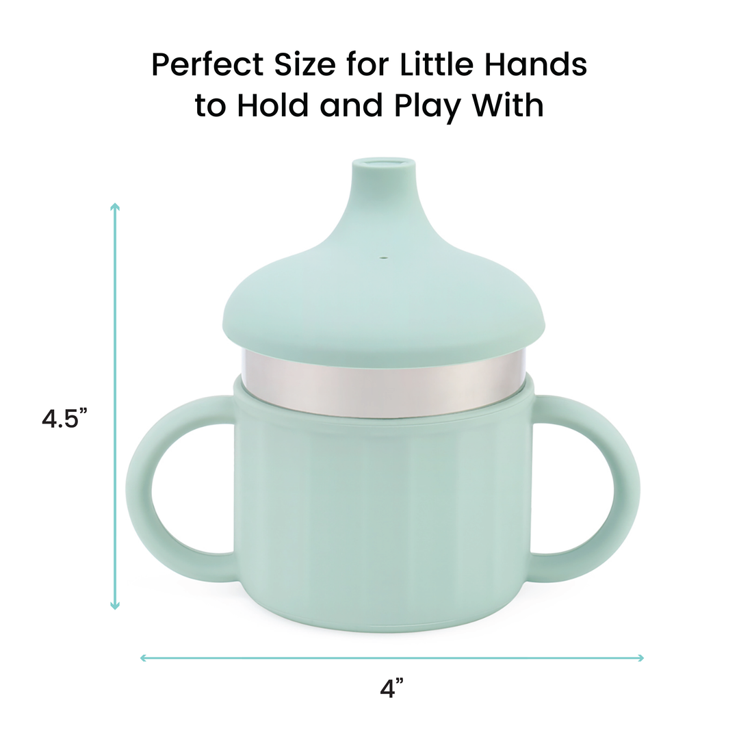 Stainless Steel Sippy Cup