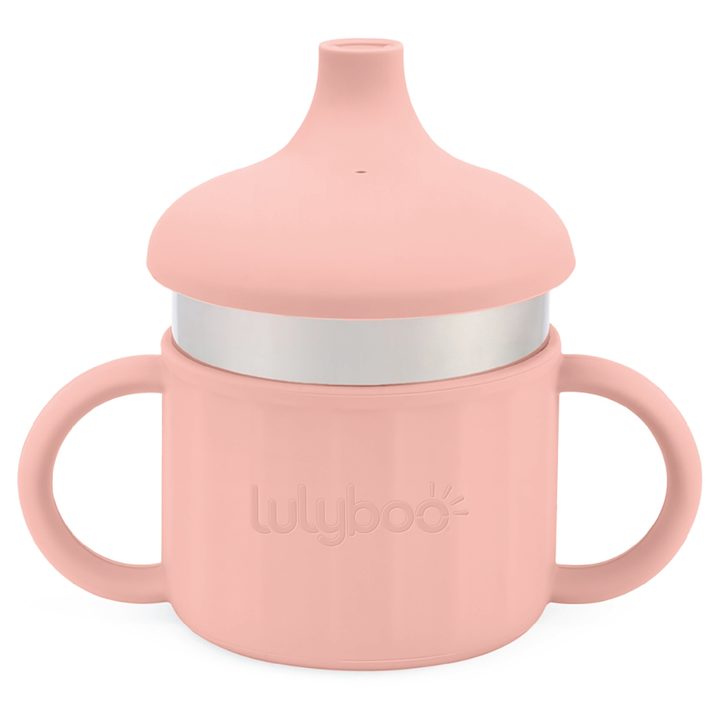 Stainless Steel Sippy Cup