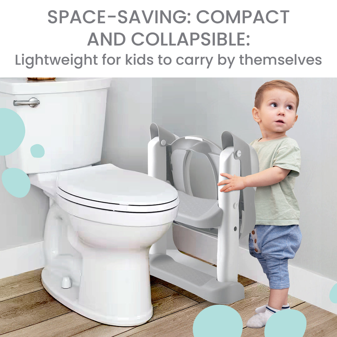 Potty Training Seat with a Ladder & Tracking Chart