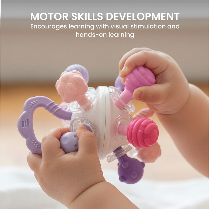 Teether Ball Toy