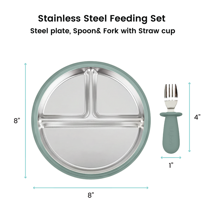 Stainless steel plate and utensils