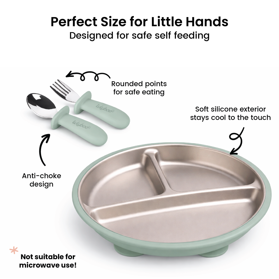 Stainless steel plate and utensils