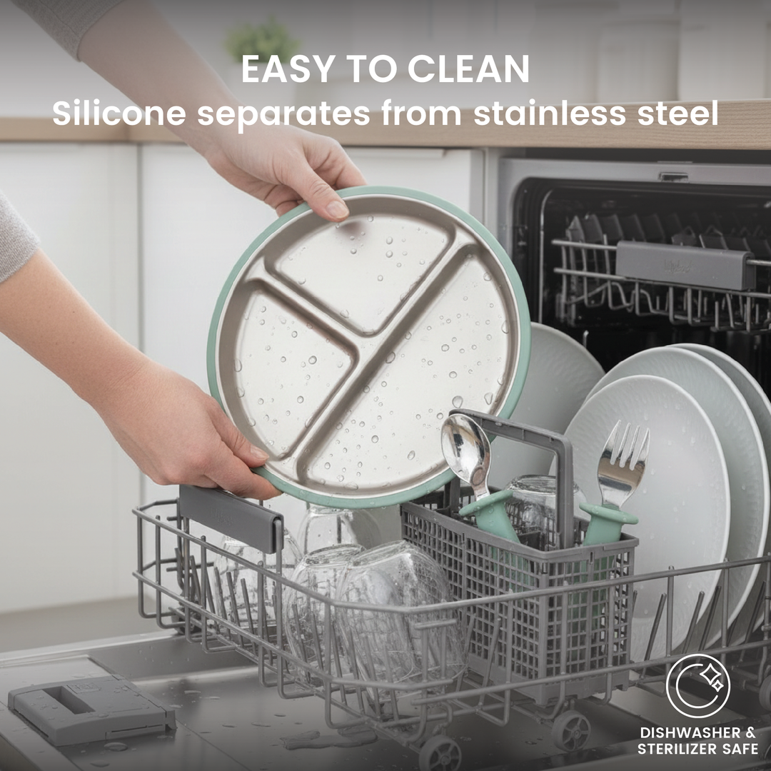 Stainless steel plate and utensils