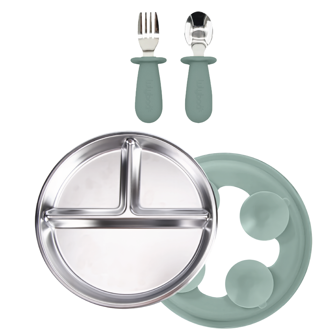 Stainless steel plate and utensils