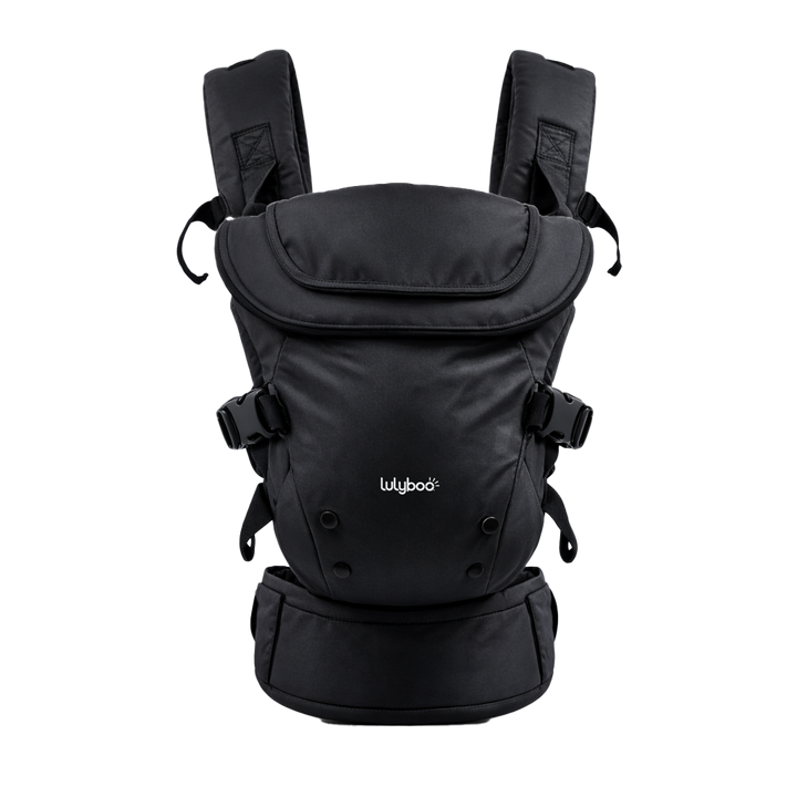 Baby Travel Carrier