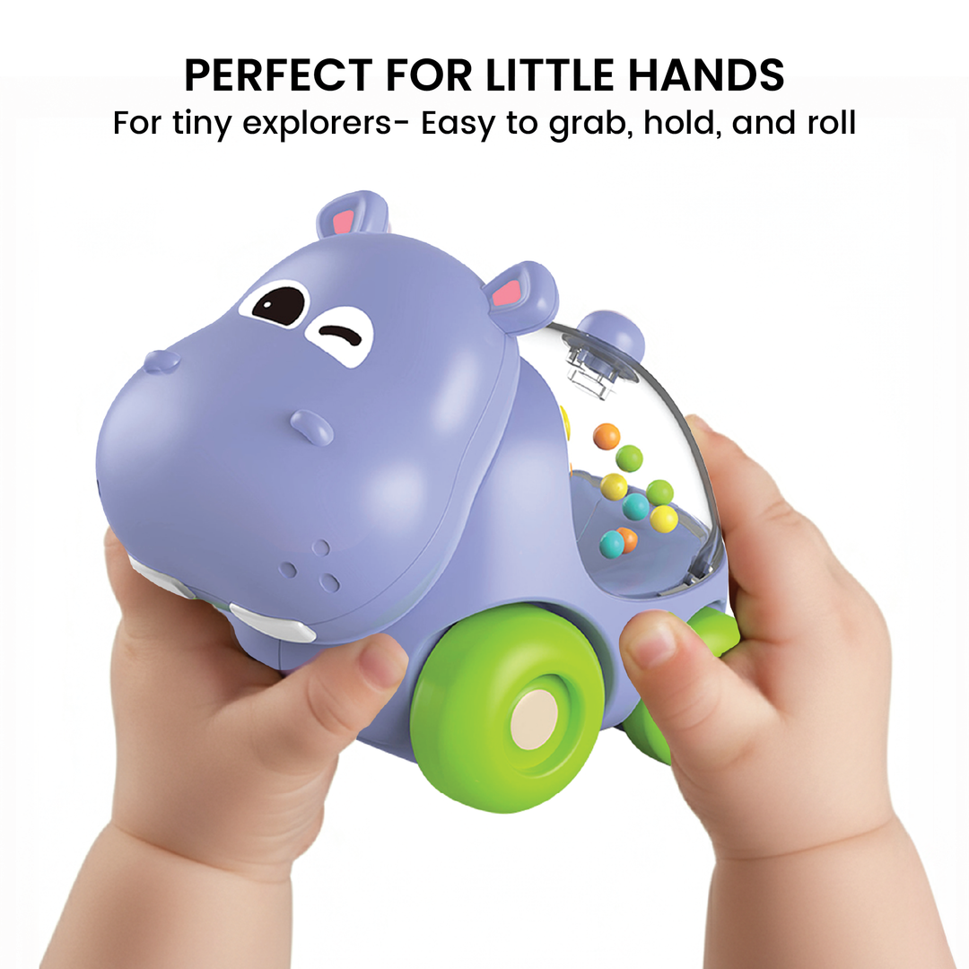 Cartoon Hippo Sliding Car