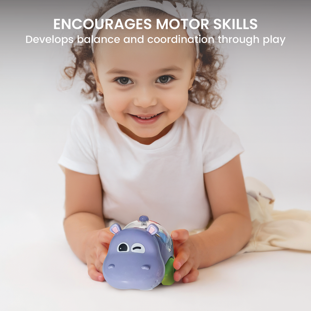 Cartoon Hippo Sliding Car