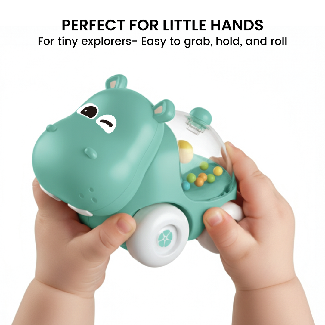 Cartoon Hippo Sliding Car
