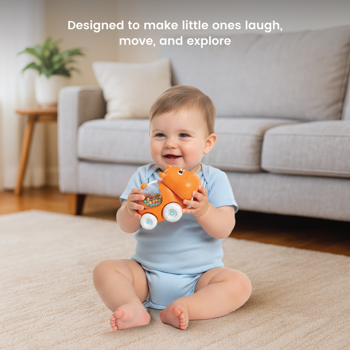 Cartoon Hippo Sliding Car