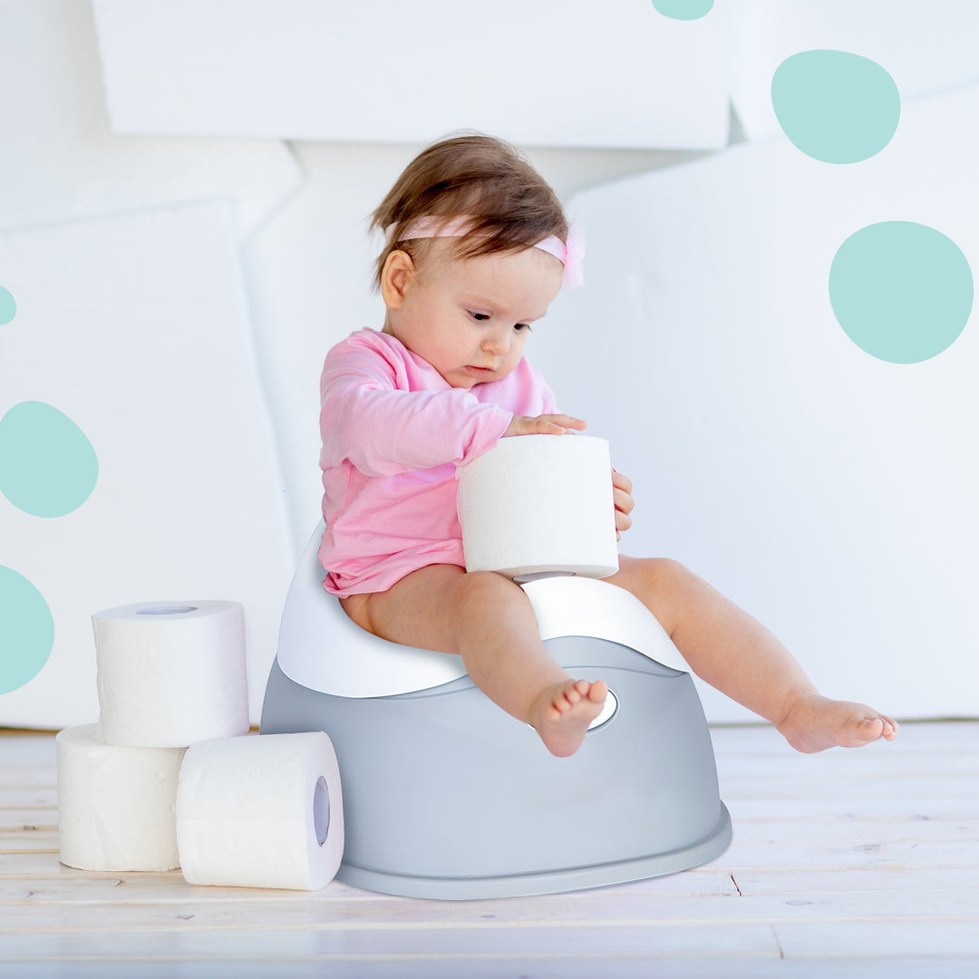 Potty Trainer Seat