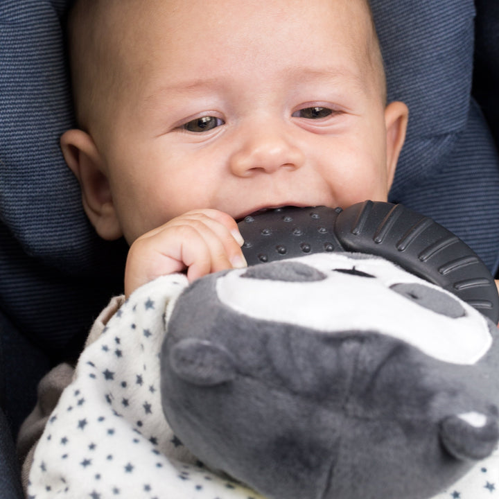 Lovey Soother & Teether - Panda