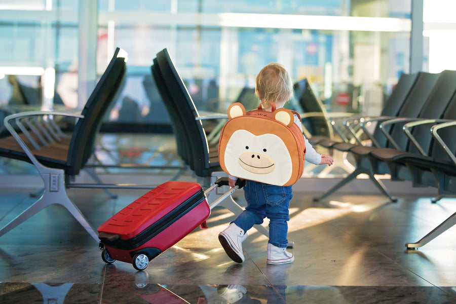 Lulyboo Toddler Travel Activity Tray